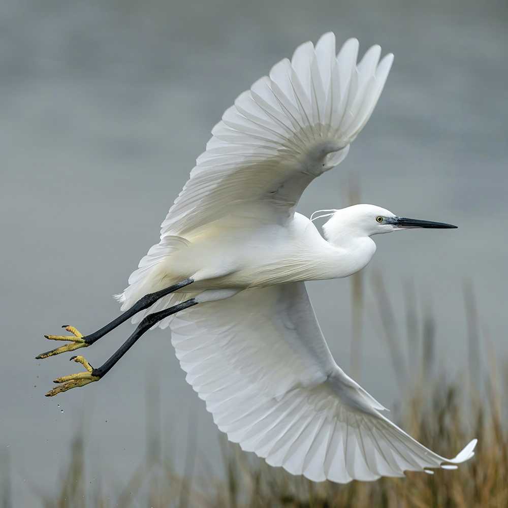 Duna-Dráva Nemzeti Park Igazgatóság