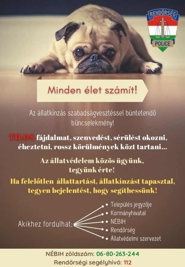 állatkínzás